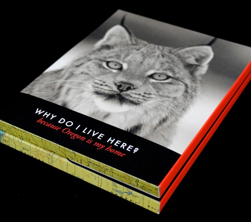 Animalia Design Creates Notecards for Endangered Animals