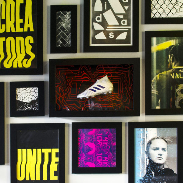 adidas Timbers Suite Wall Graphics