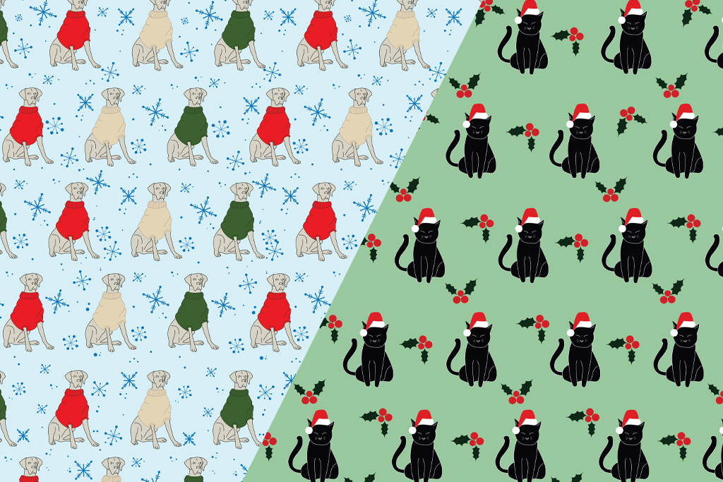 Sophia Durbin - California Polytechnic State University