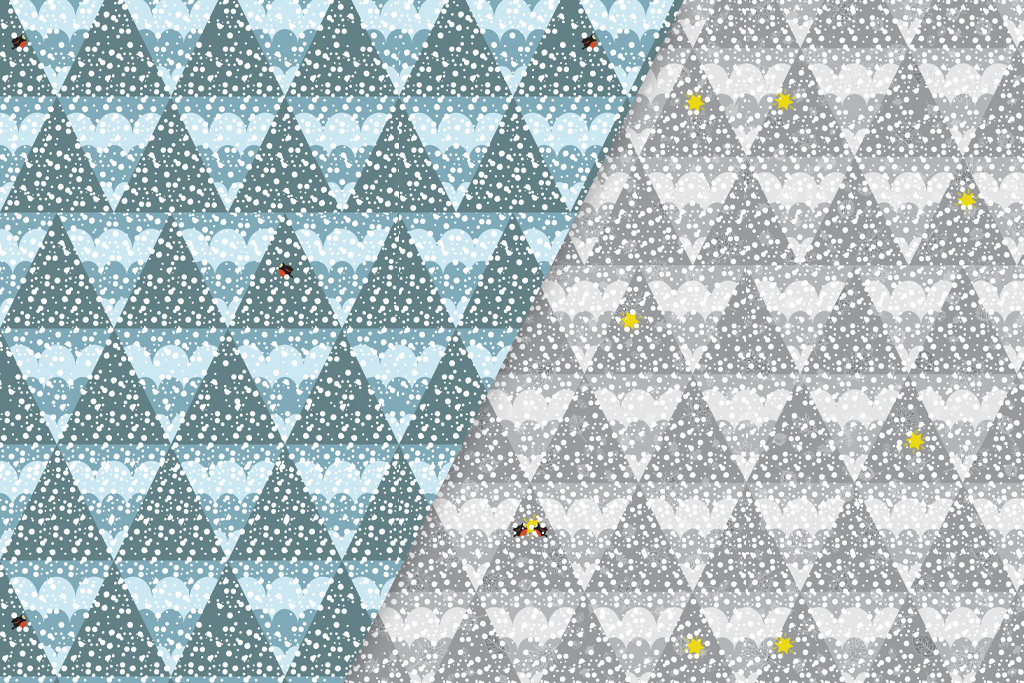 David Chamberlain - Mt. Hood Community College