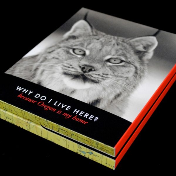 Animalia Design Creates Notecards for Endangered Animals