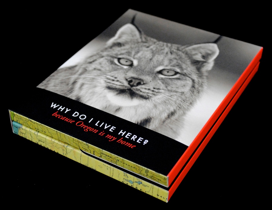 note card kit for animalia design