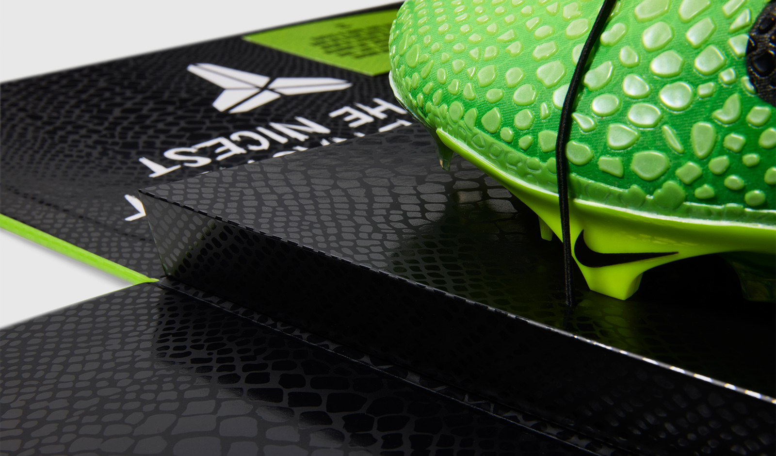 Nike Grinch Shoe and Box