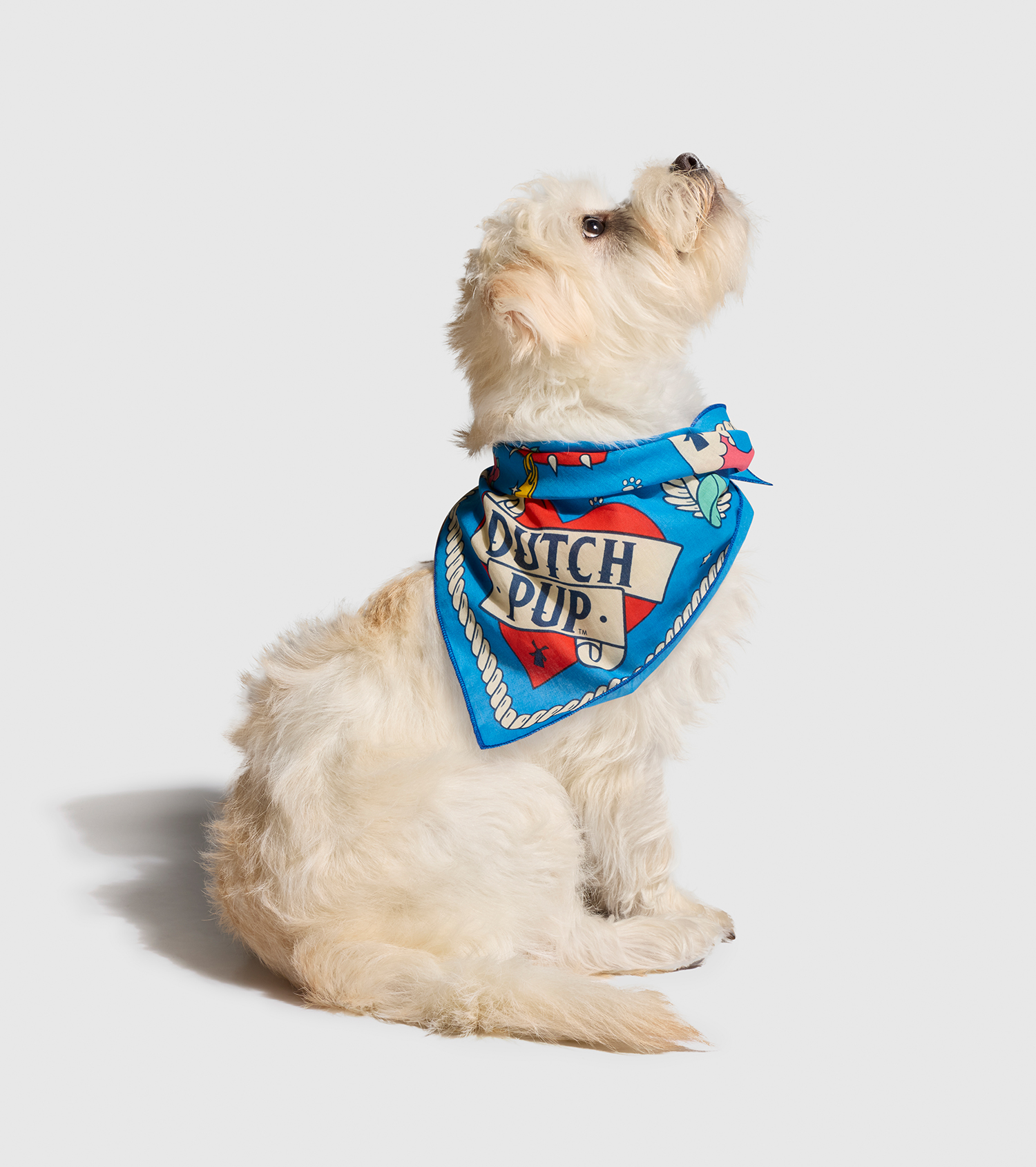 Dutch Bros merch puppy in "Dutch Pup" bandana