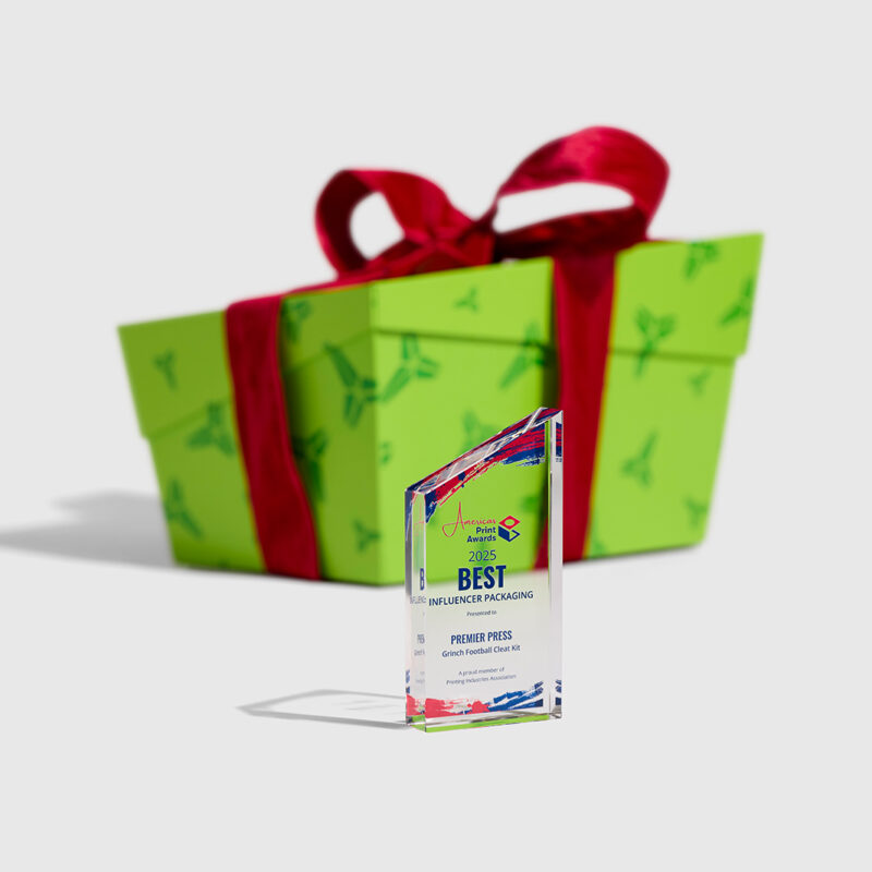 How the Grinch Box Won Best Influencer Package