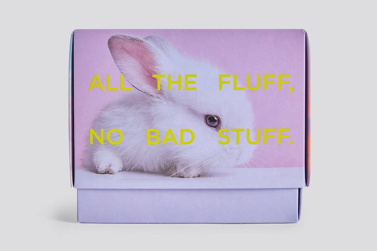 Pacifica Influencer box bunny